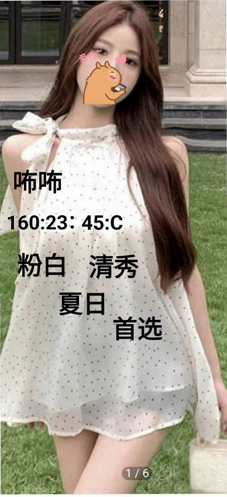 〖南投外約茶